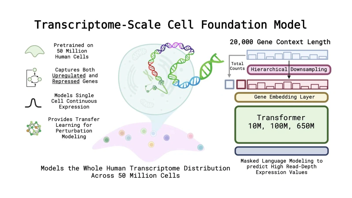 Why BioCLIP 2 Matters | Decoding the Language of Life