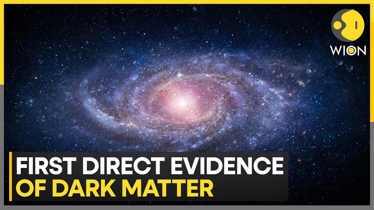 Why ThisDark MatterDiscovery Matters - The Big Picture