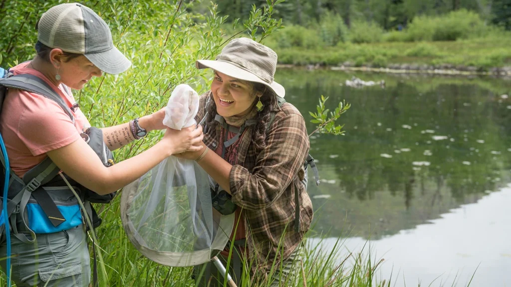 conservation biology