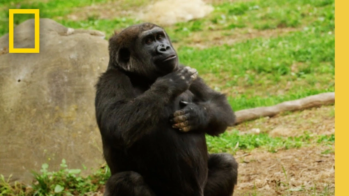 The Power of Social Bonds