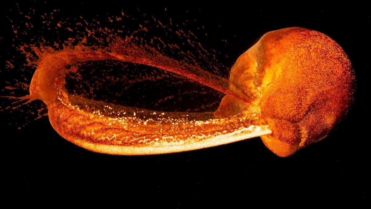 The "Giant Impact" Hypothesis | A Quick Recap