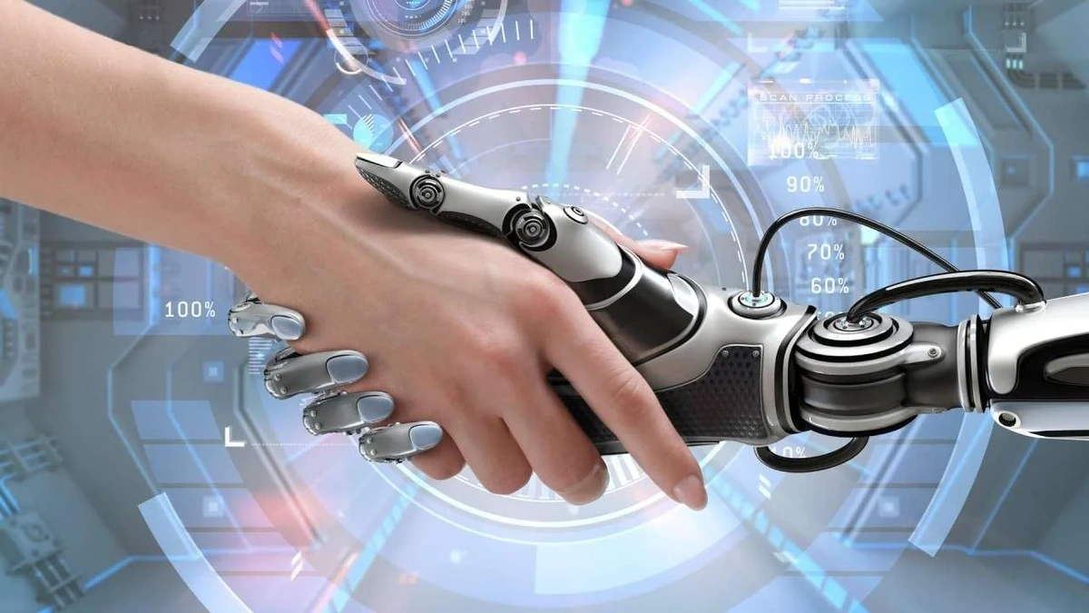 Why New Zealand? A Hotspot of Biodiversity