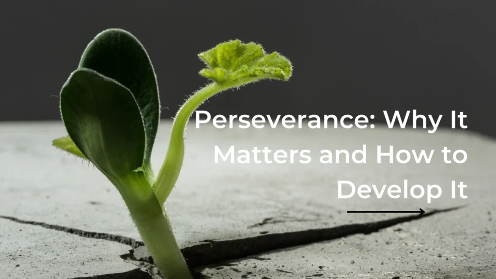 Perseverance