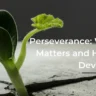 Perseverance