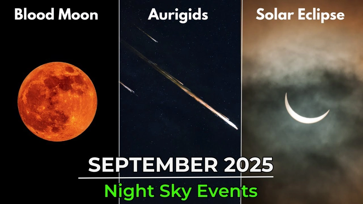 Decoding the Winter Sky | What to Watch For