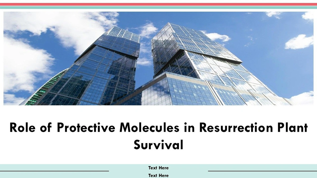 The "Why" Behind the Survival | More Than Just a Headline