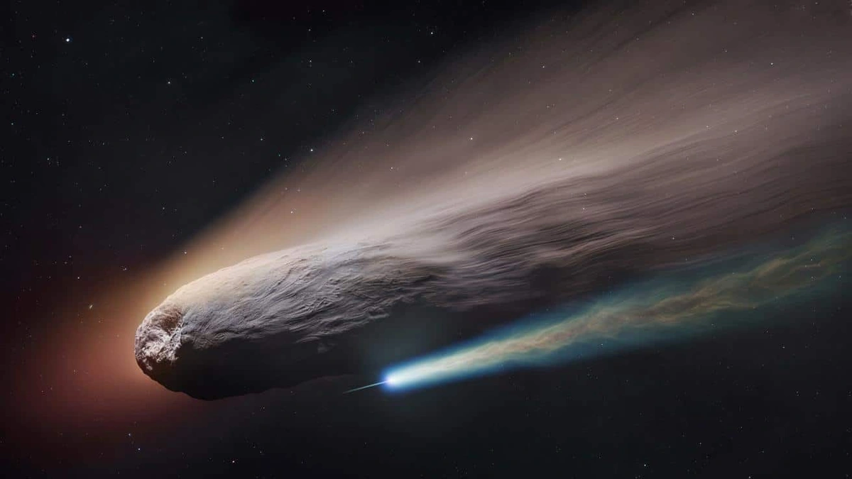 Why Should We Care About a Comet from Another Star?